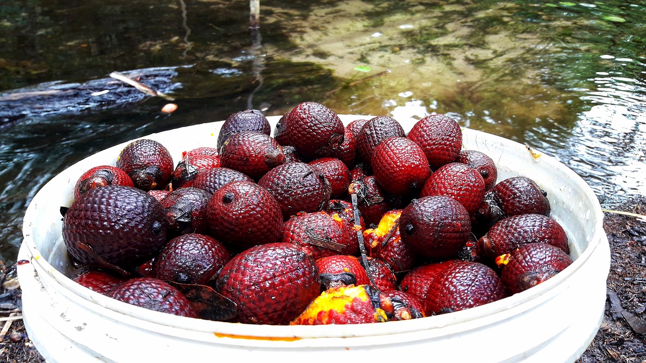 Frasco de Buriti Amazonia Herbevie