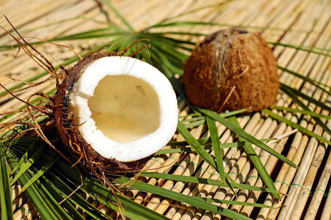 Frasco de Babaçu Amazonia Herbevie