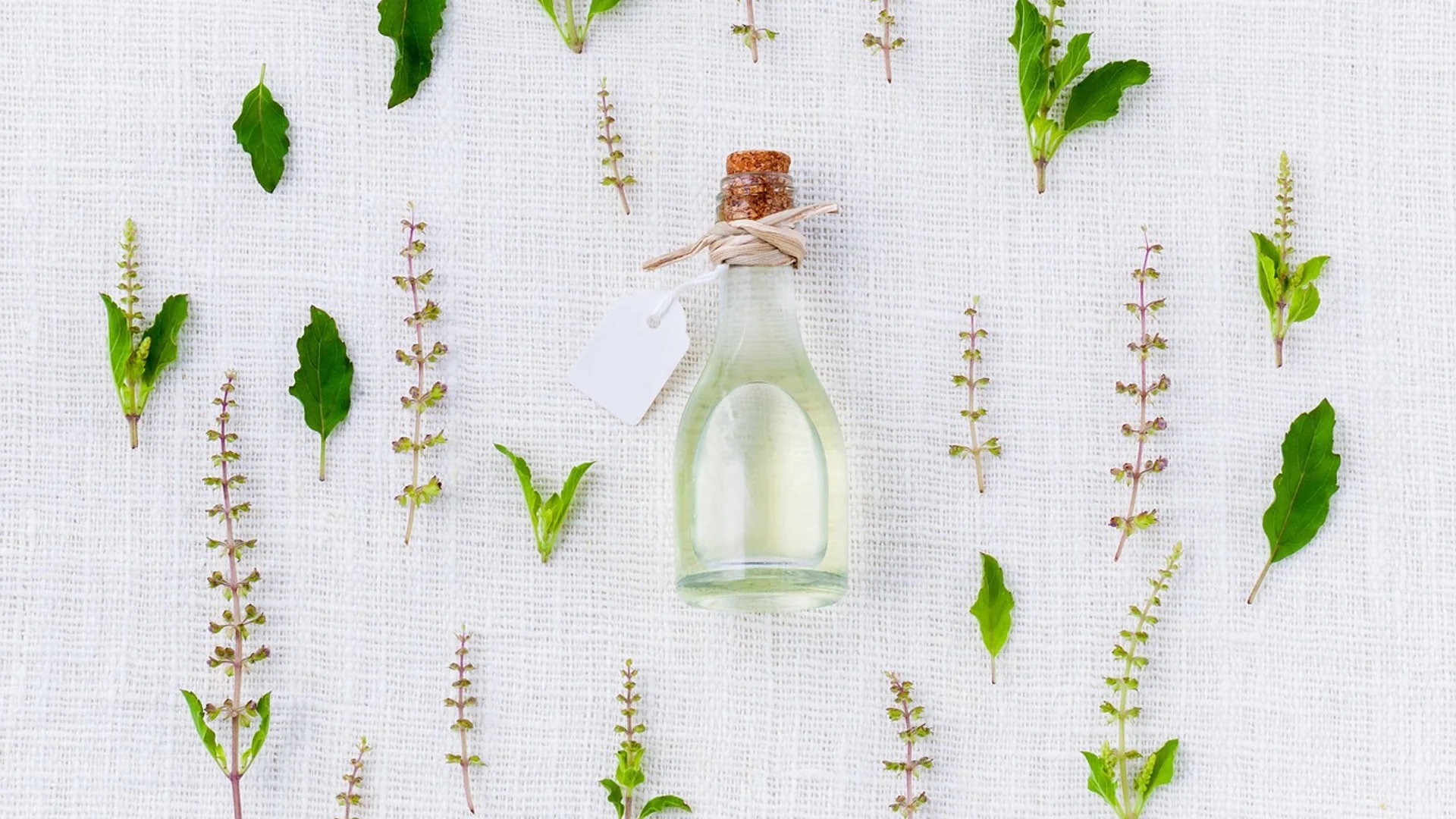 Óleos vegetais — composição e textura, não promessa.