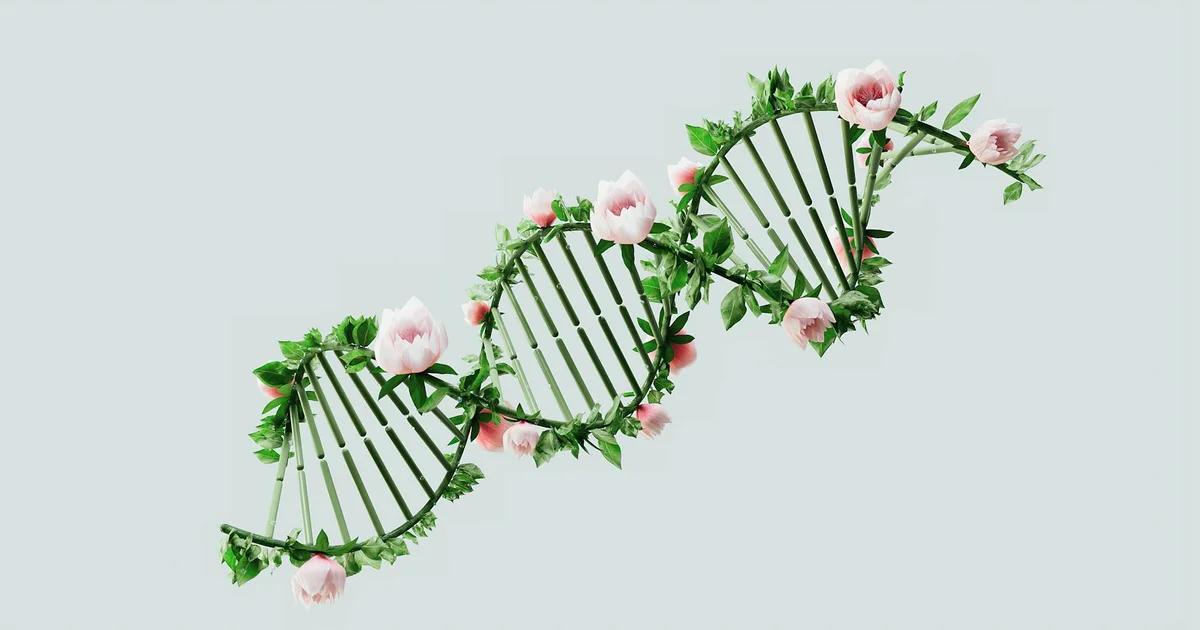 Quando tudo irrita: como o BloomSync organiza o caos antes de prometer solução
